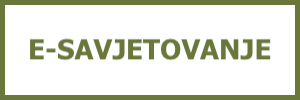E-savjetovanje